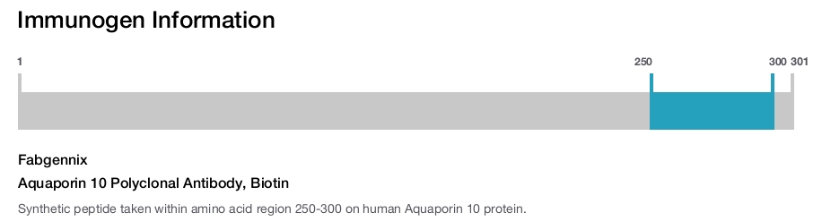 Aquaporin 10 Polyclonal Antibody, Biotin