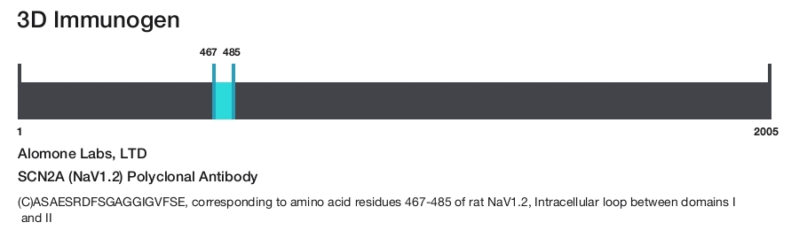 SCN2A (NaV1.2) Polyclonal Antibody