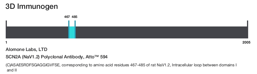 SCN2A (NaV1.2) Polyclonal Antibody, Atto&trade; 594