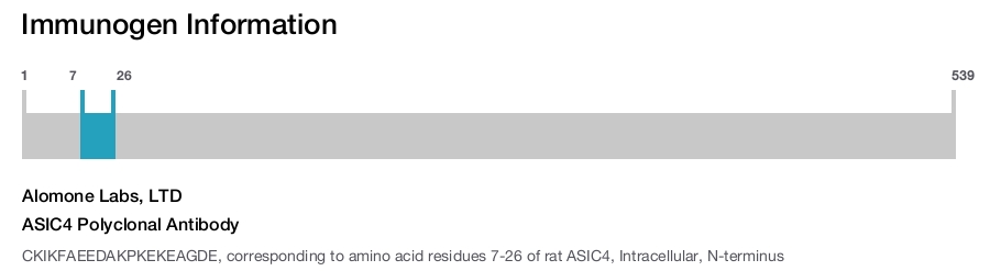 ASIC4 Polyclonal Antibody