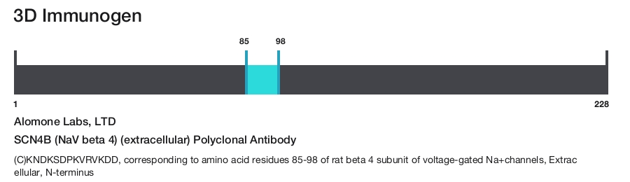 SCN4B (NaV beta 4) (extracellular) Polyclonal Antibody