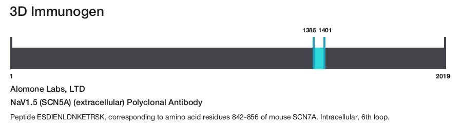 NaV1.5 (SCN5A) (extracellular) Polyclonal Antibody