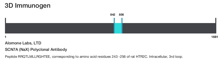 SCN7A (NaX) Polyclonal Antibody