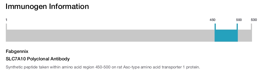 SLC7A10 Polyclonal Antibody