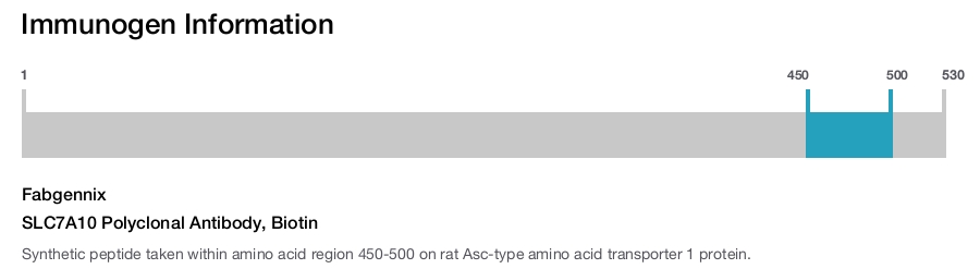 SLC7A10 Polyclonal Antibody, Biotin