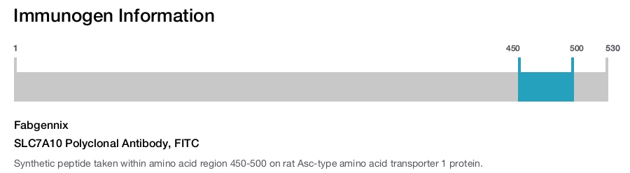 SLC7A10 Polyclonal Antibody, FITC