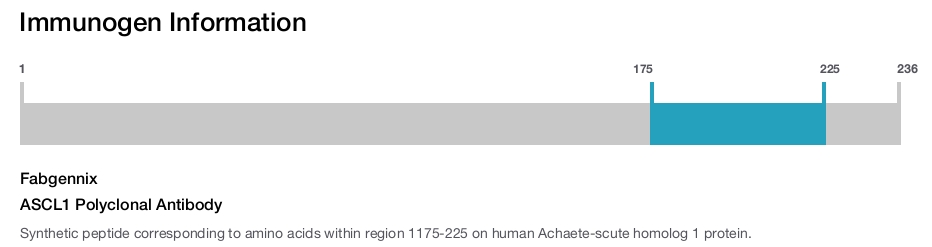 ASCL1 Polyclonal Antibody
