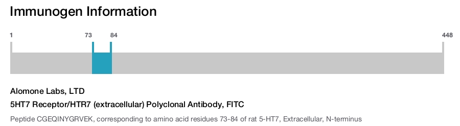 5HT7 Receptor/HTR7 (extracellular) Polyclonal Antibody, FITC