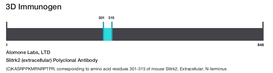 Slitrk2 (extracellular) Polyclonal Antibody