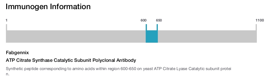 ATP Citrate Synthase Catalytic Subunit Polyclonal Antibody
