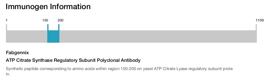 ATP Citrate Synthase Regulatory Subunit Polyclonal Antibody