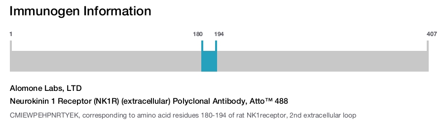 Neurokinin 1 Receptor (NK1R) (extracellular) Polyclonal Antibody, Atto™ 488