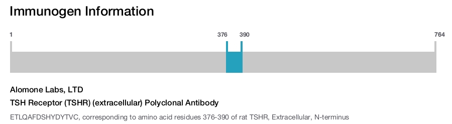 TSH Receptor (TSHR) (extracellular) Polyclonal Antibody