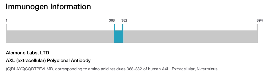 AXL (extracellular) Polyclonal Antibody