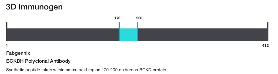 BCKDH Polyclonal Antibody