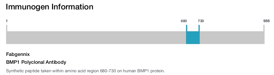 BMP1 Polyclonal Antibody