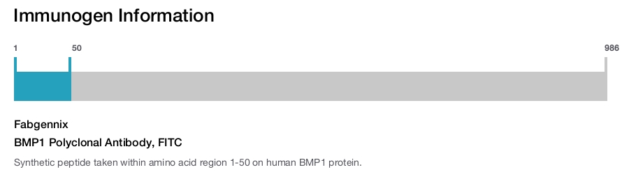 BMP1 Polyclonal Antibody, FITC