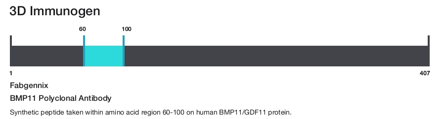 BMP11 Polyclonal Antibody