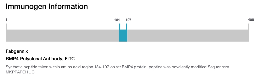 BMP4 Polyclonal Antibody, FITC