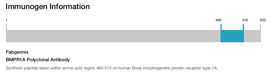BMPR1A Polyclonal Antibody