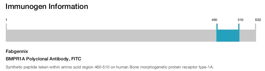 BMPR1A Polyclonal Antibody, FITC