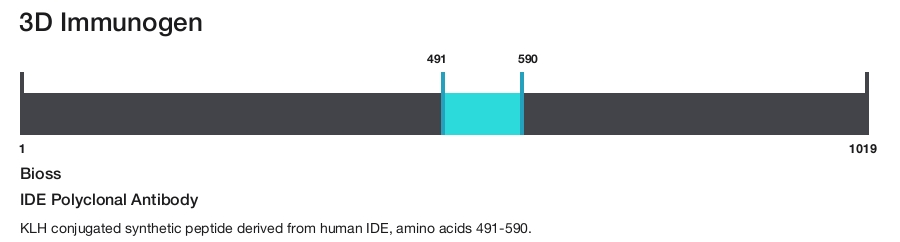 IDE Polyclonal Antibody