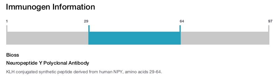 Neuropeptide Y Polyclonal Antibody