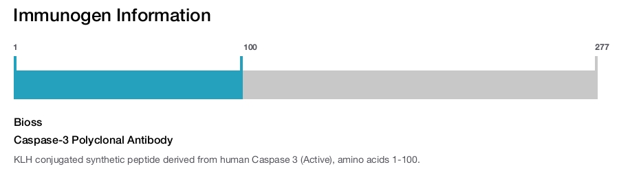 Caspase-3 Polyclonal Antibody