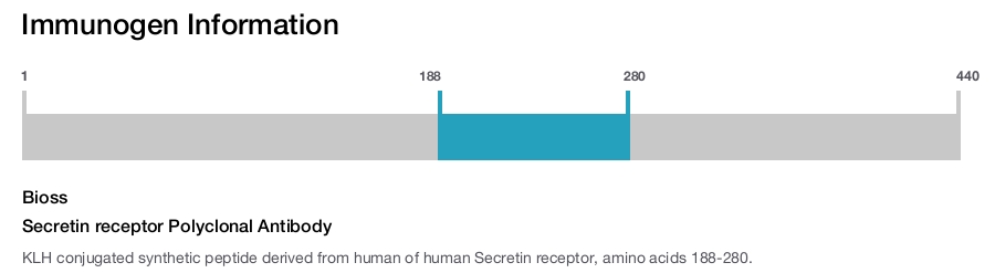 Secretin receptor Polyclonal Antibody