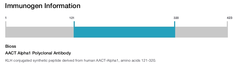 AACT Alpha1 Polyclonal Antibody