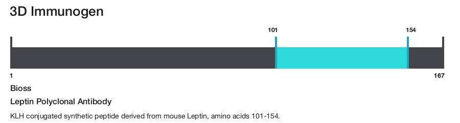Leptin Polyclonal Antibody