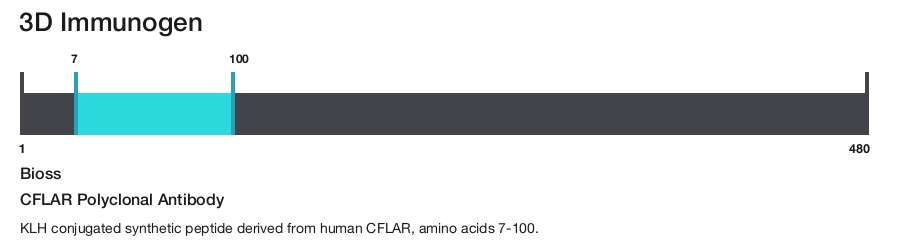 CFLAR Polyclonal Antibody