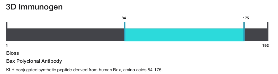 Bax Polyclonal Antibody