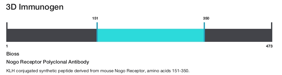 Nogo Receptor Polyclonal Antibody