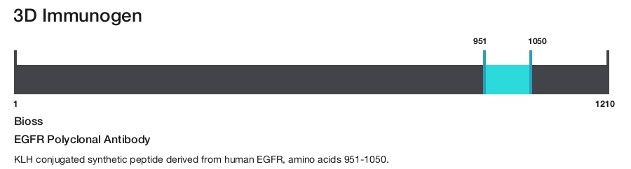 EGFR Polyclonal Antibody