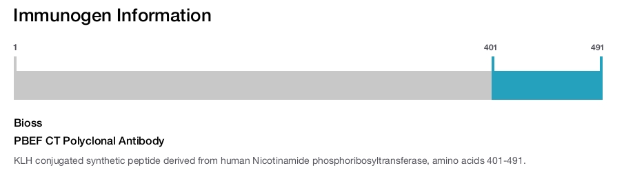 PBEF CT Polyclonal Antibody