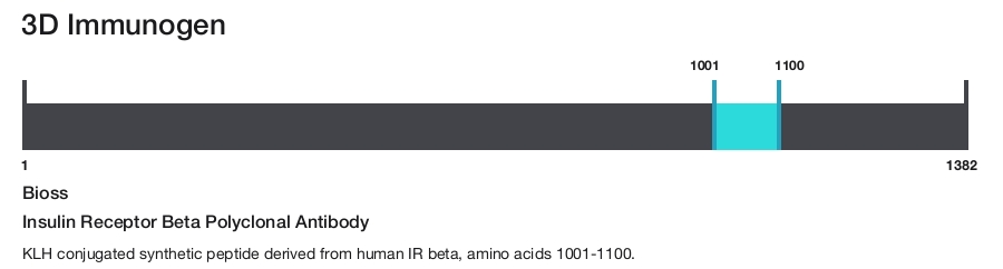 Insulin Receptor Beta Polyclonal Antibody