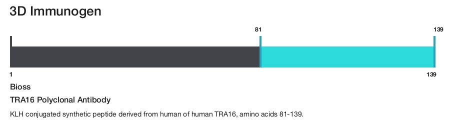 TRA16 Polyclonal Antibody