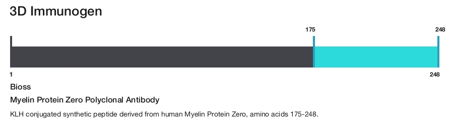 Myelin Protein Zero Polyclonal Antibody