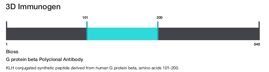 G protein beta Polyclonal Antibody
