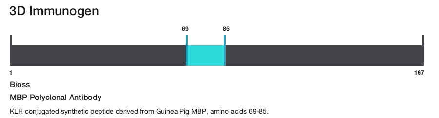 MBP Polyclonal Antibody