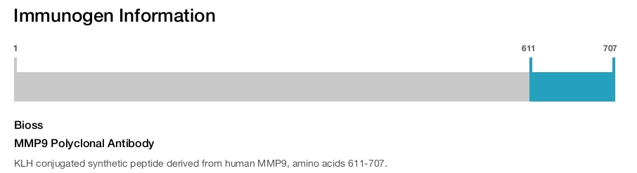 MMP9 Polyclonal Antibody