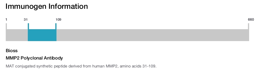 MMP2 Polyclonal Antibody