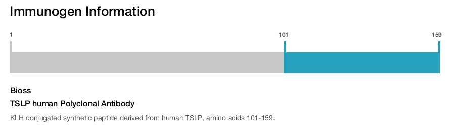TSLP human Polyclonal Antibody