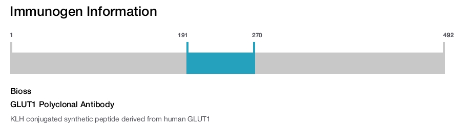 GLUT1 Polyclonal Antibody