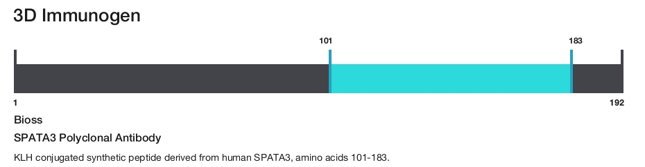 SPATA3 Polyclonal Antibody