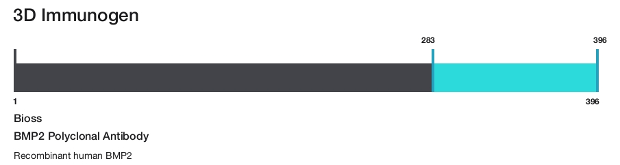 BMP2 Polyclonal Antibody