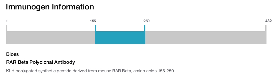 RAR Beta Polyclonal Antibody