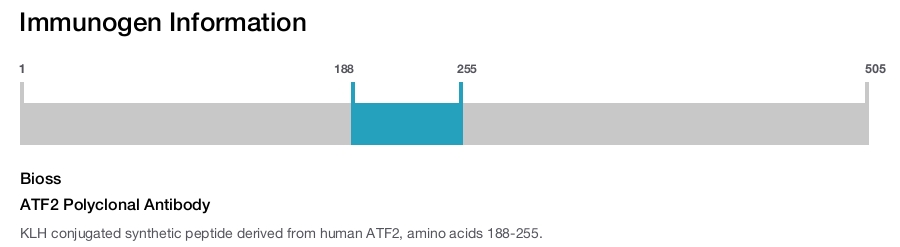 ATF2 Polyclonal Antibody