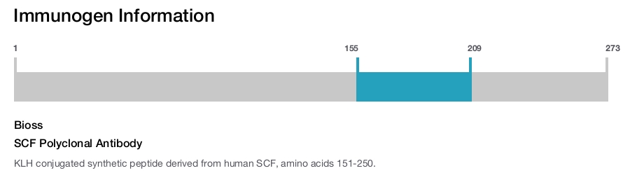 SCF Polyclonal Antibody